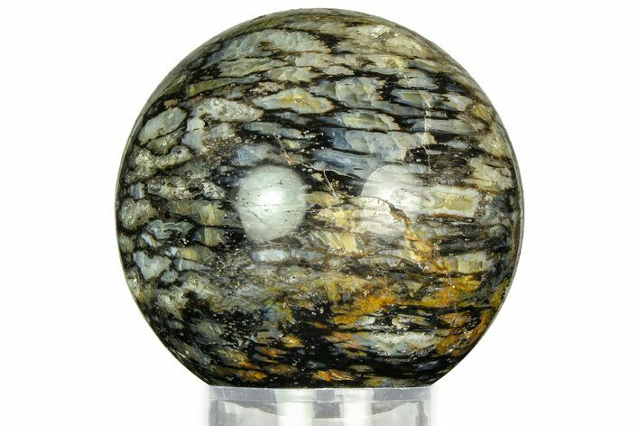 Polished, Black Petrified Palm Root Sphere - Indonesia #311560